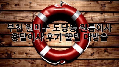 부천 원미구 도당동 원룸이사, 용달이사 후기: 꿀팁 대방출!