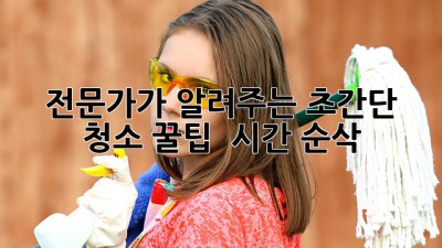 ✨ 전문가가 알려주는 초간단 청소 꿀팁 🍯 (시간 순삭!)